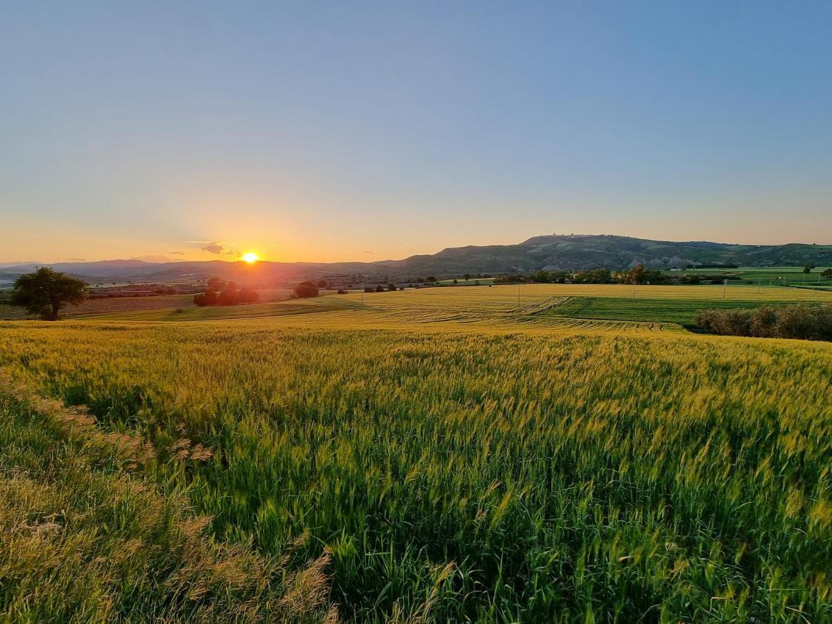 Agriturismo Essentia Dimora Rurale Larino Ngoại thất bức ảnh