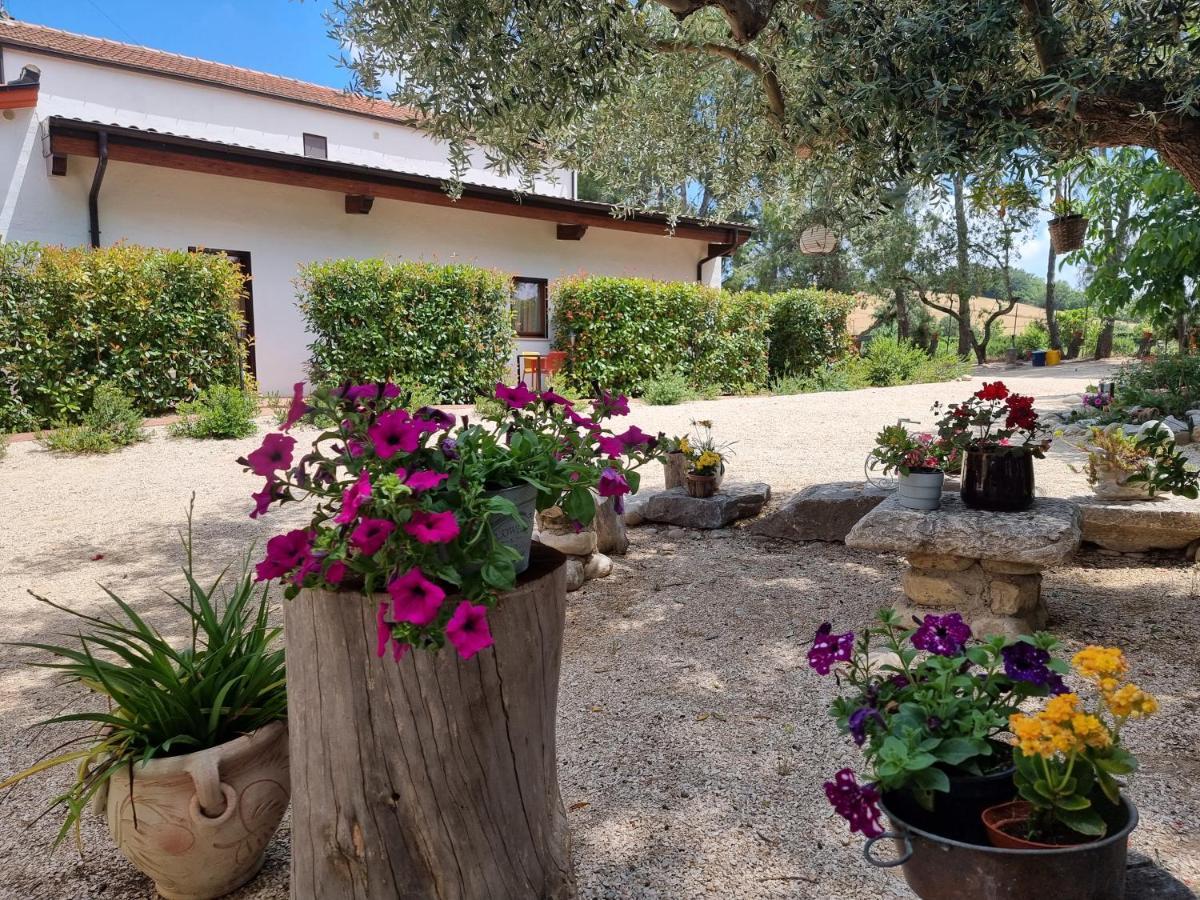 Agriturismo Essentia Dimora Rurale Larino Ngoại thất bức ảnh