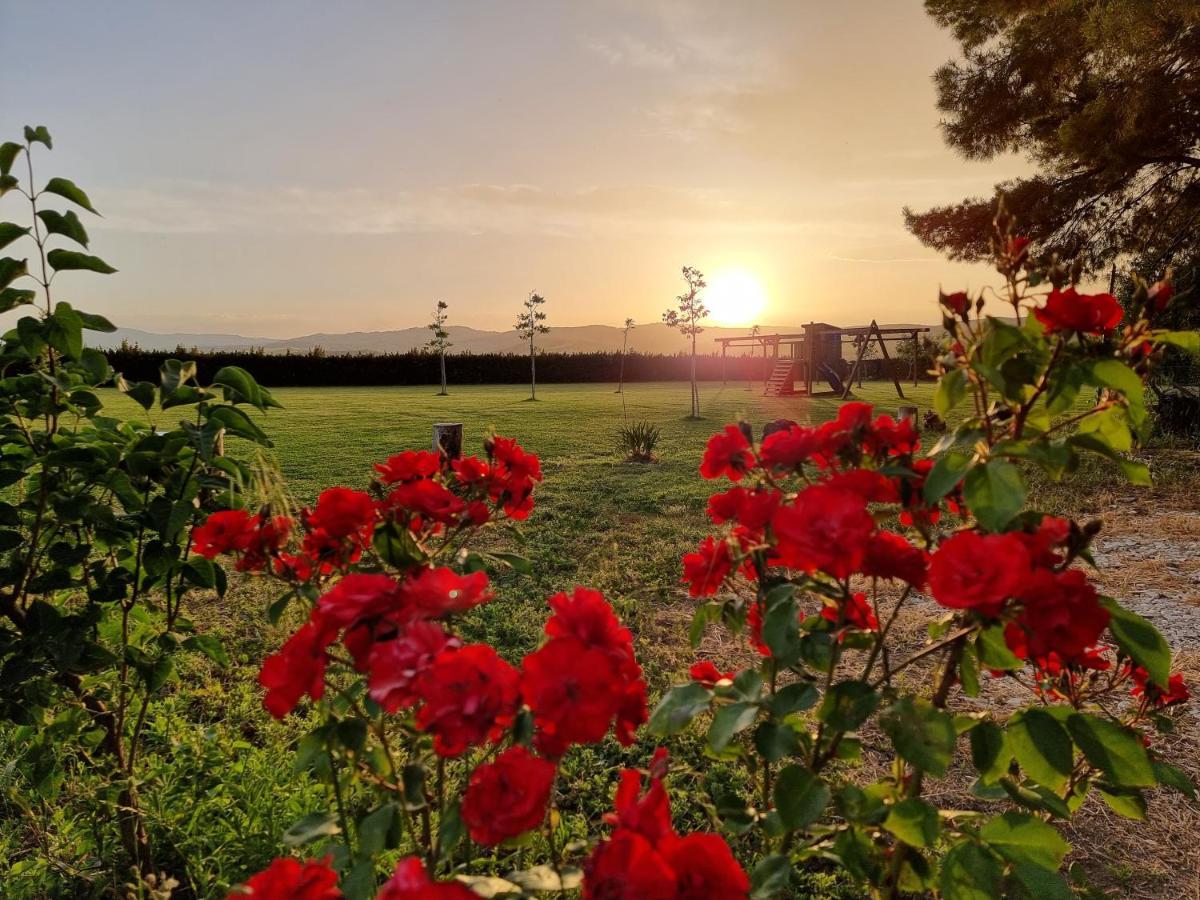 Agriturismo Essentia Dimora Rurale Larino Ngoại thất bức ảnh